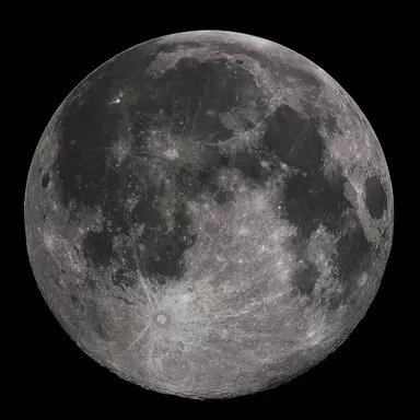 Profile image of 달