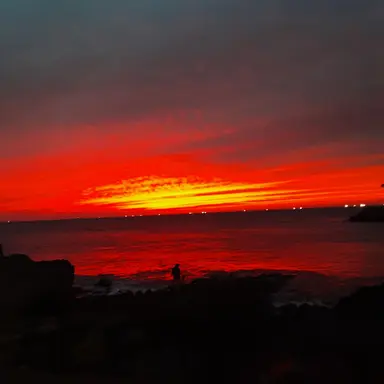 Profile image of 진서