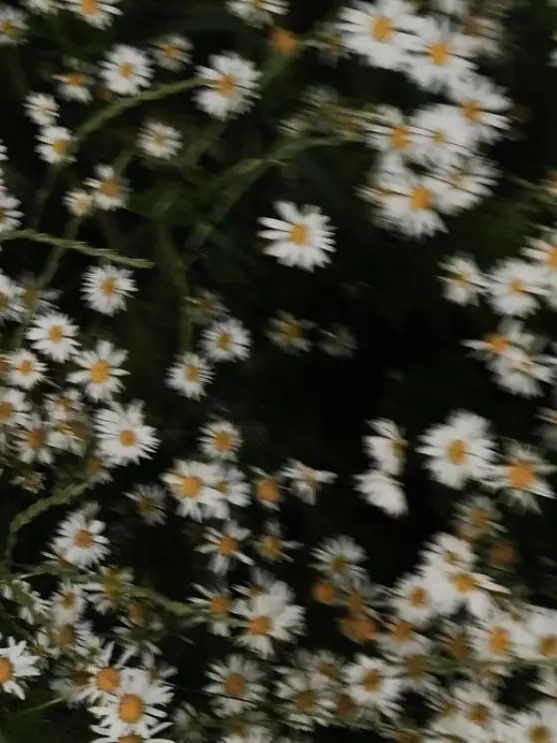 HSRD-Heptagram의 내가 더 오래 봤거든?