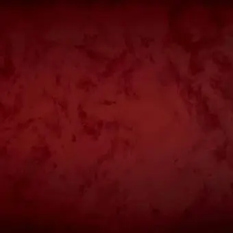 Profile image of 蘭丸