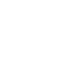 Profile image of ICE