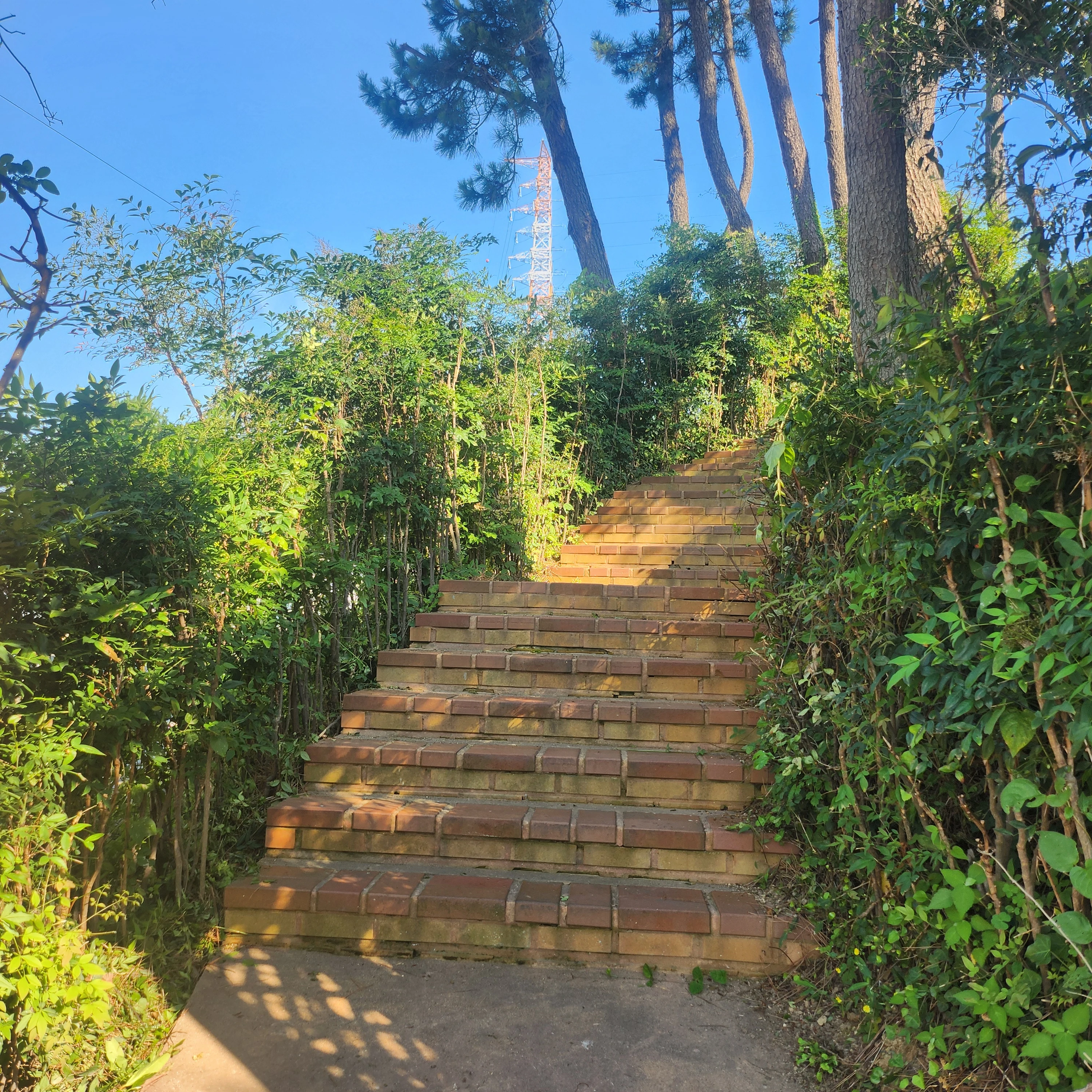 평학