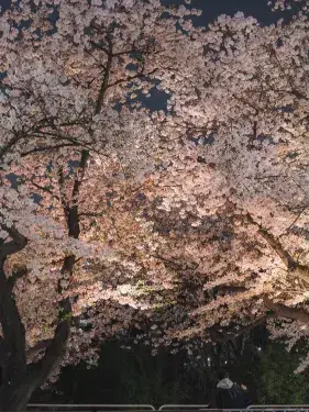 TacitRice9328의 최종 결전이 끝났다.