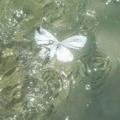 Profile image of 정공룡