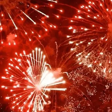 Profile image of 서라더