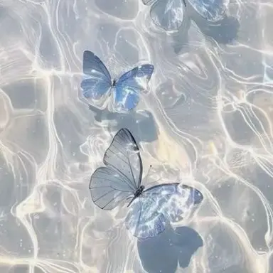 Profile image of 박잠뜰