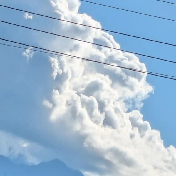 夏コラボメンバー