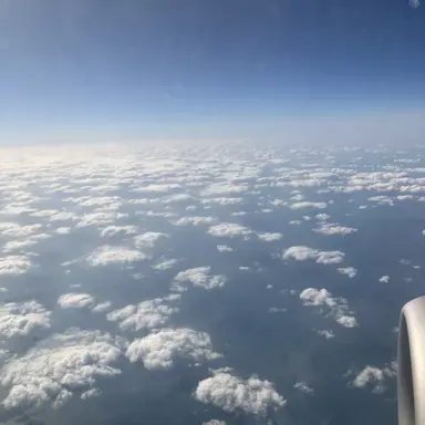 Profile image of 미스터리 수사반