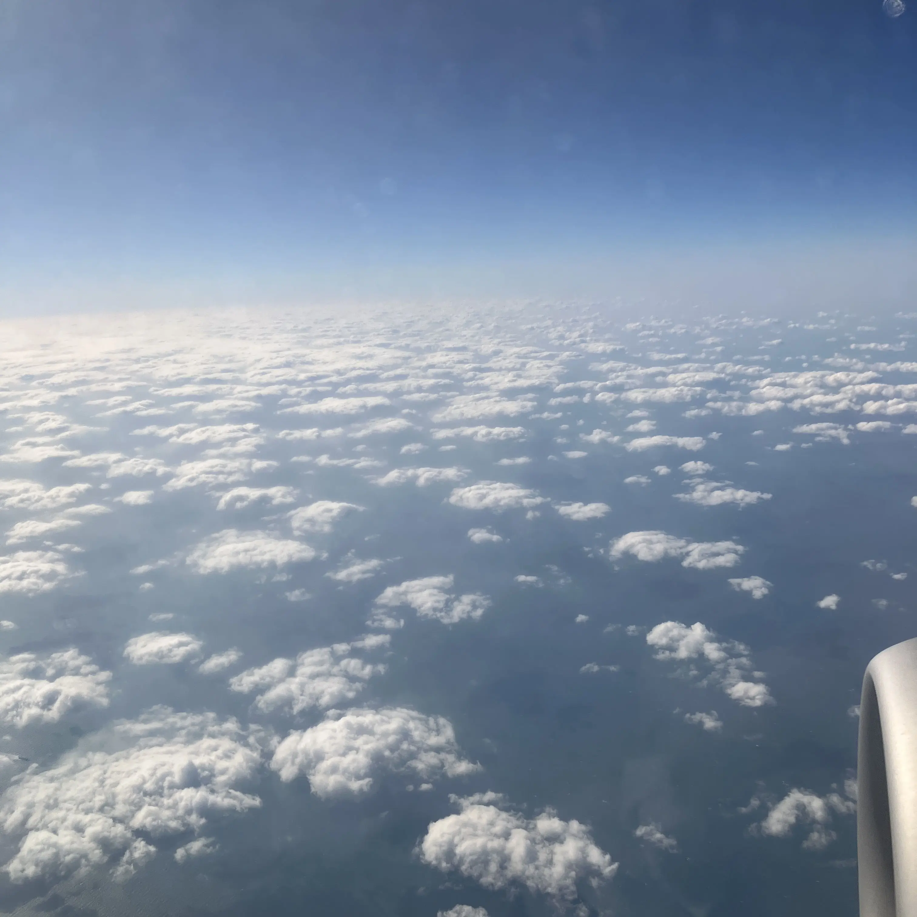 MeekShare1879의 수이웃+미스터리 수사반