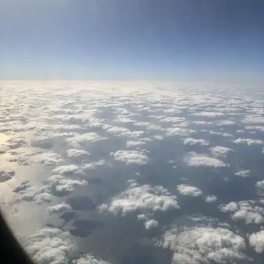 Profile image of 수상한 이웃집