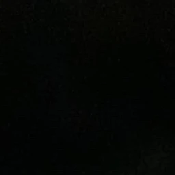 유지민