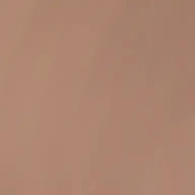 Profile image of 加賀美 ハヤト