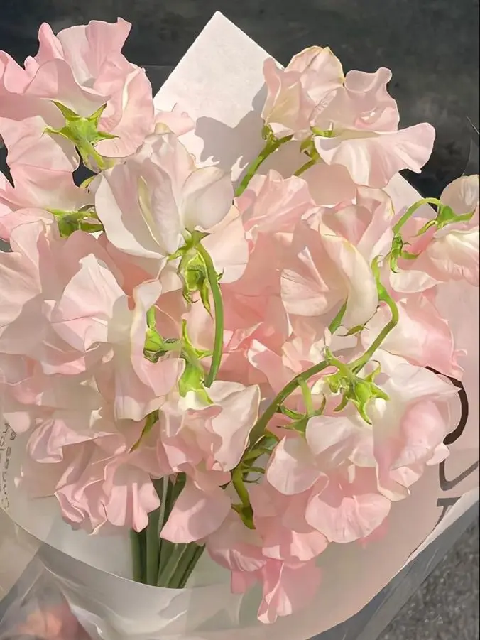 1_1314925의 김기명