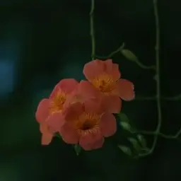 Profile image of 덕개