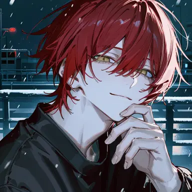 Profile image of 輝夜