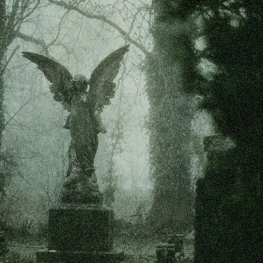 Profile image of 정형준