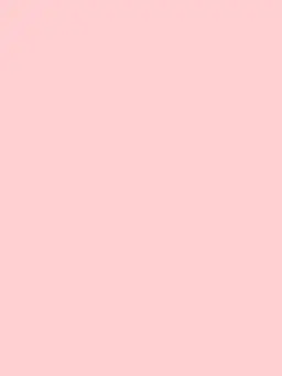riho_sn의 一目惚れ