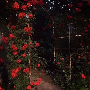 Profile image of 한솔