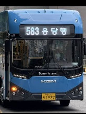 버스 가족 대표 이미지
