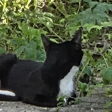 Profile image of 유지민