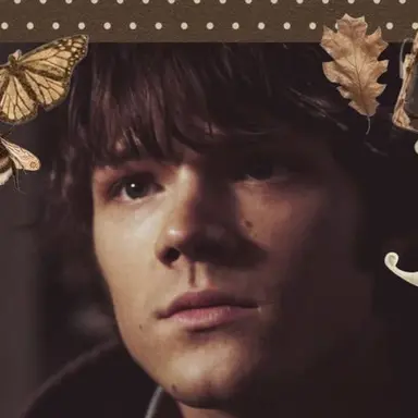 Profile image of Sam Winchester