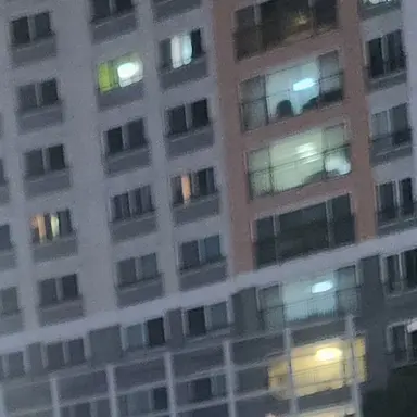 Profile image of 노지선