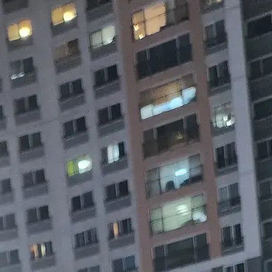 Profile image of 장규리