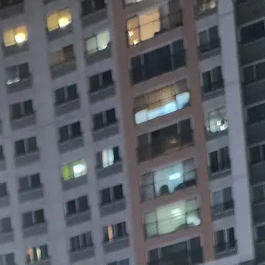 Profile image of 송하영