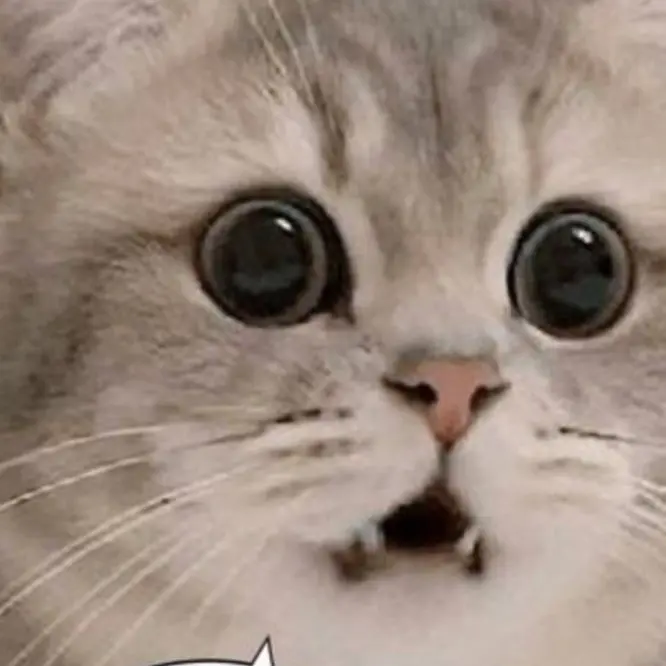 ThickBarb9863의 학교체육시간 축구하는 날