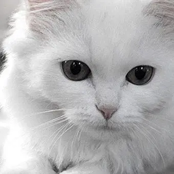 Profile image of 지한