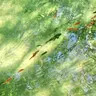 Profile image of 아낙사