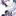🪼
