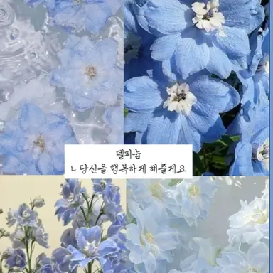 Profile image of 커서