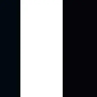 Profile image of 星野左手