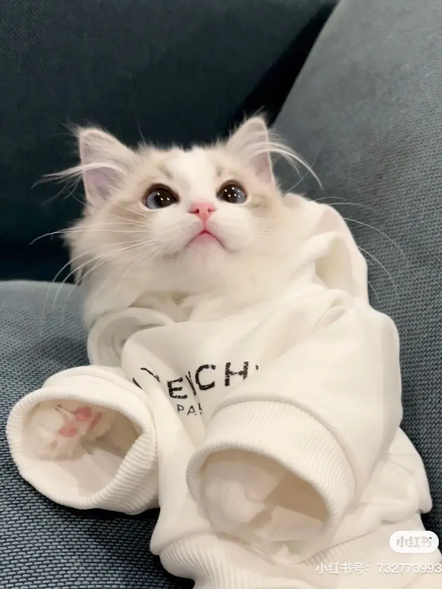 tolom1_xoxo의 ※まだ許婚