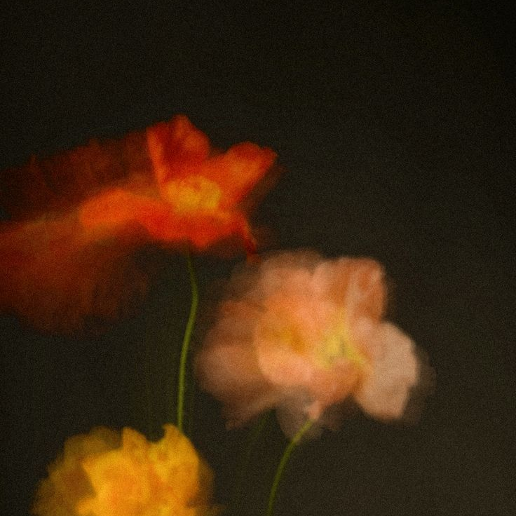 하나하키 대표 이미지