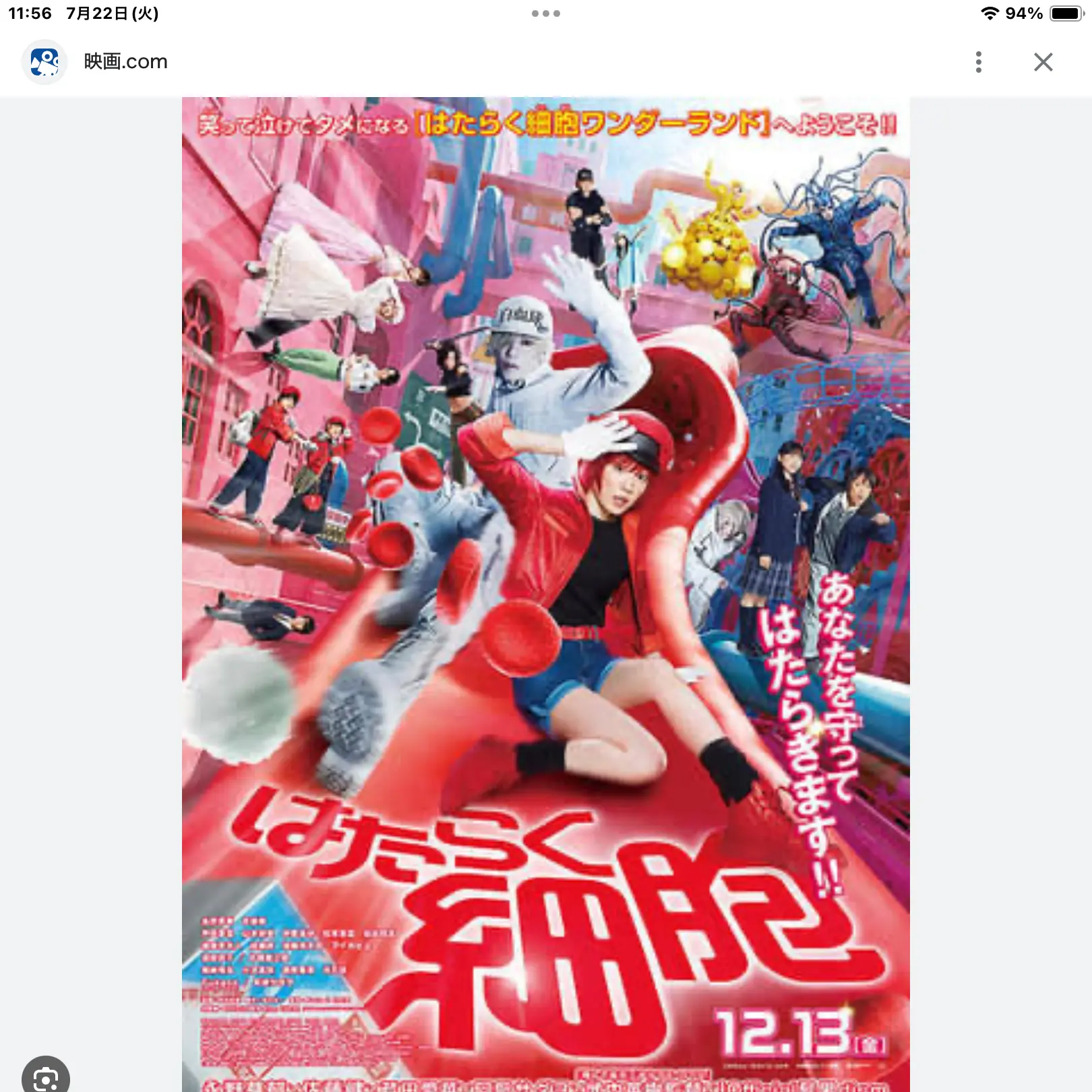 ZestyDoor7295의 はたらく細胞
