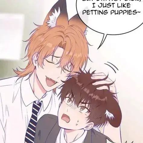 SillyHost5786의 Lin An x Chen Kai