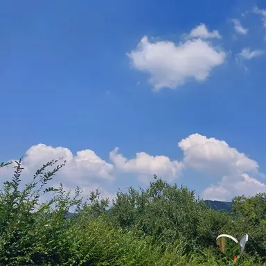 Profile image of 평학