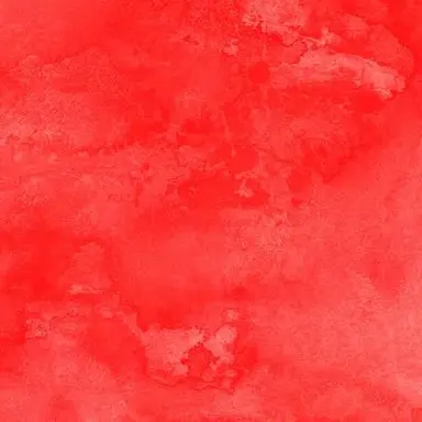 Profile image of 宮舘涼太