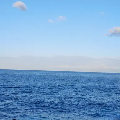 Profile image of 자두