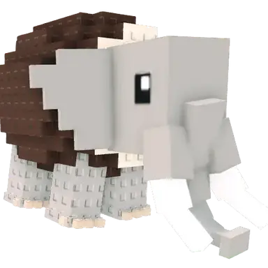 Profile image of 코코판토엘레판토