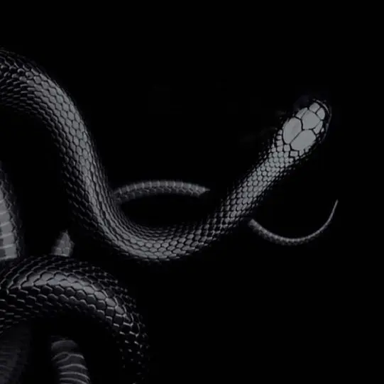 o1ne의 허물의 끝에서