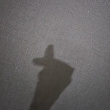 Profile image of 오토 레이니
