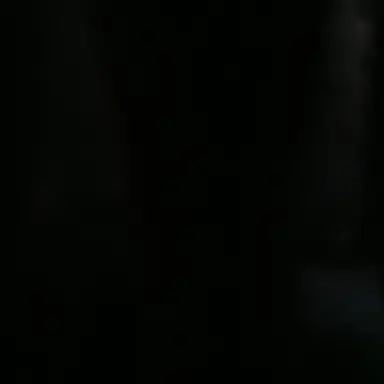 Profile image of 민시현