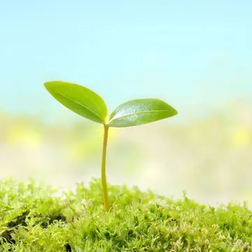 Profile image of 双葉