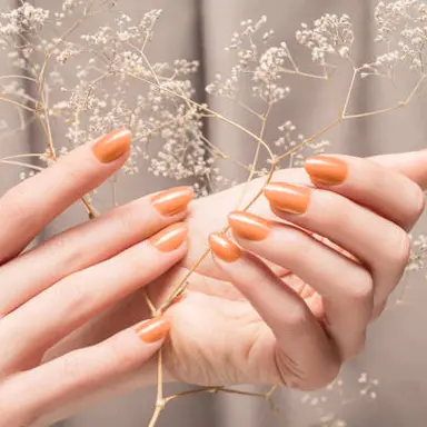 Profile image of 瑠璃