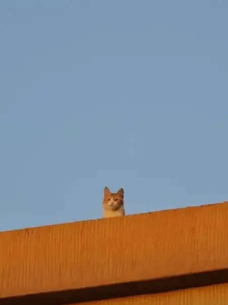 potadesu.의 街の平和