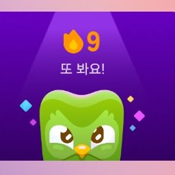 팀나빠 새학귀 초등학교 5학년 대표 이미지