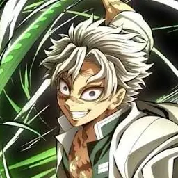 Profile image of Sanemi Shinazugawa